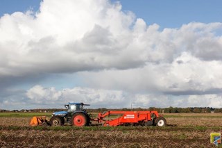 oogstraming van aardappelen  afgewezen in poll