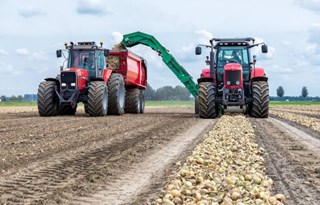 oogsten zaaiuien bron Nieuwe oogst